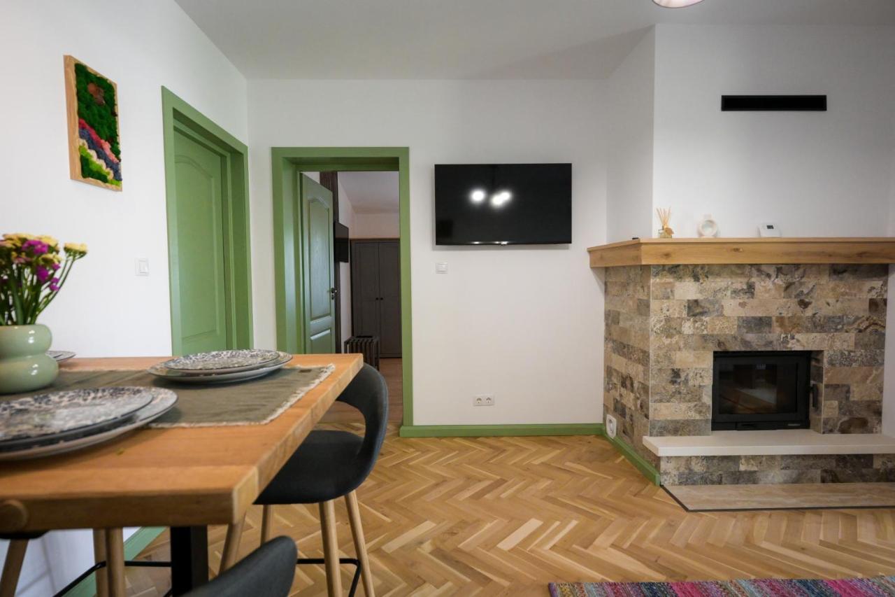 Chalet Bora Viseu de Jos Extérieur photo