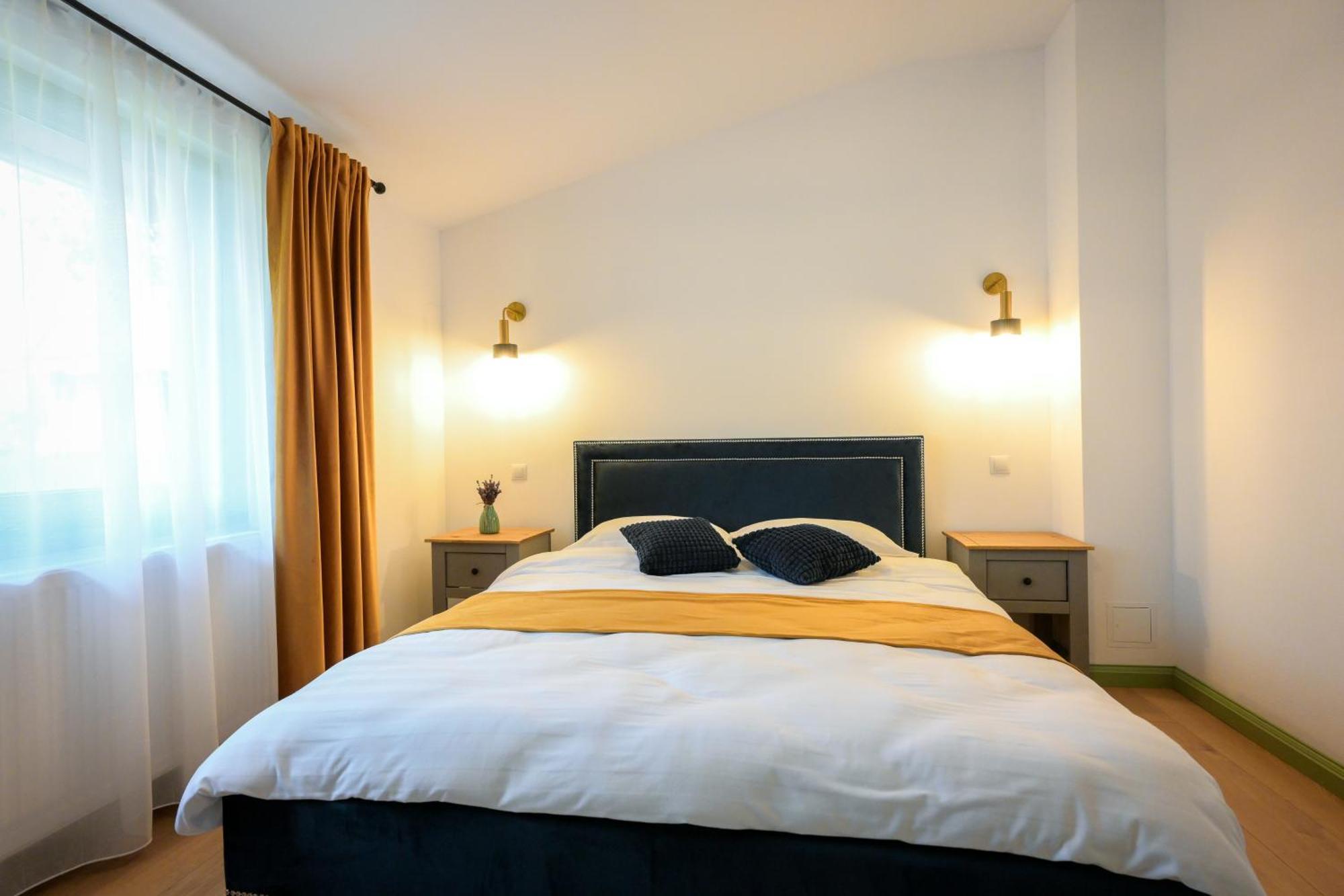 Chalet Bora Viseu de Jos Extérieur photo