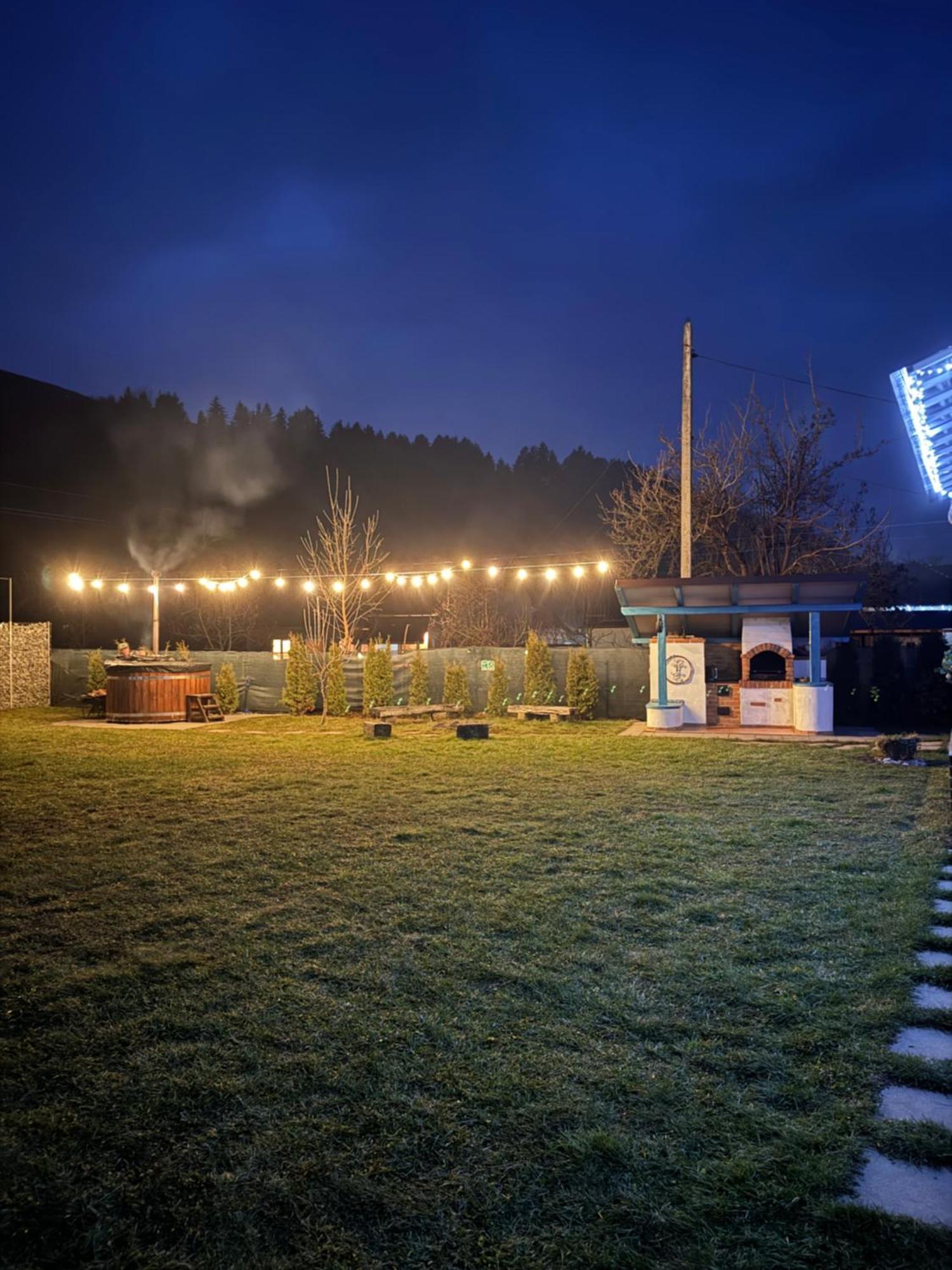 Chalet Bora Viseu de Jos Extérieur photo