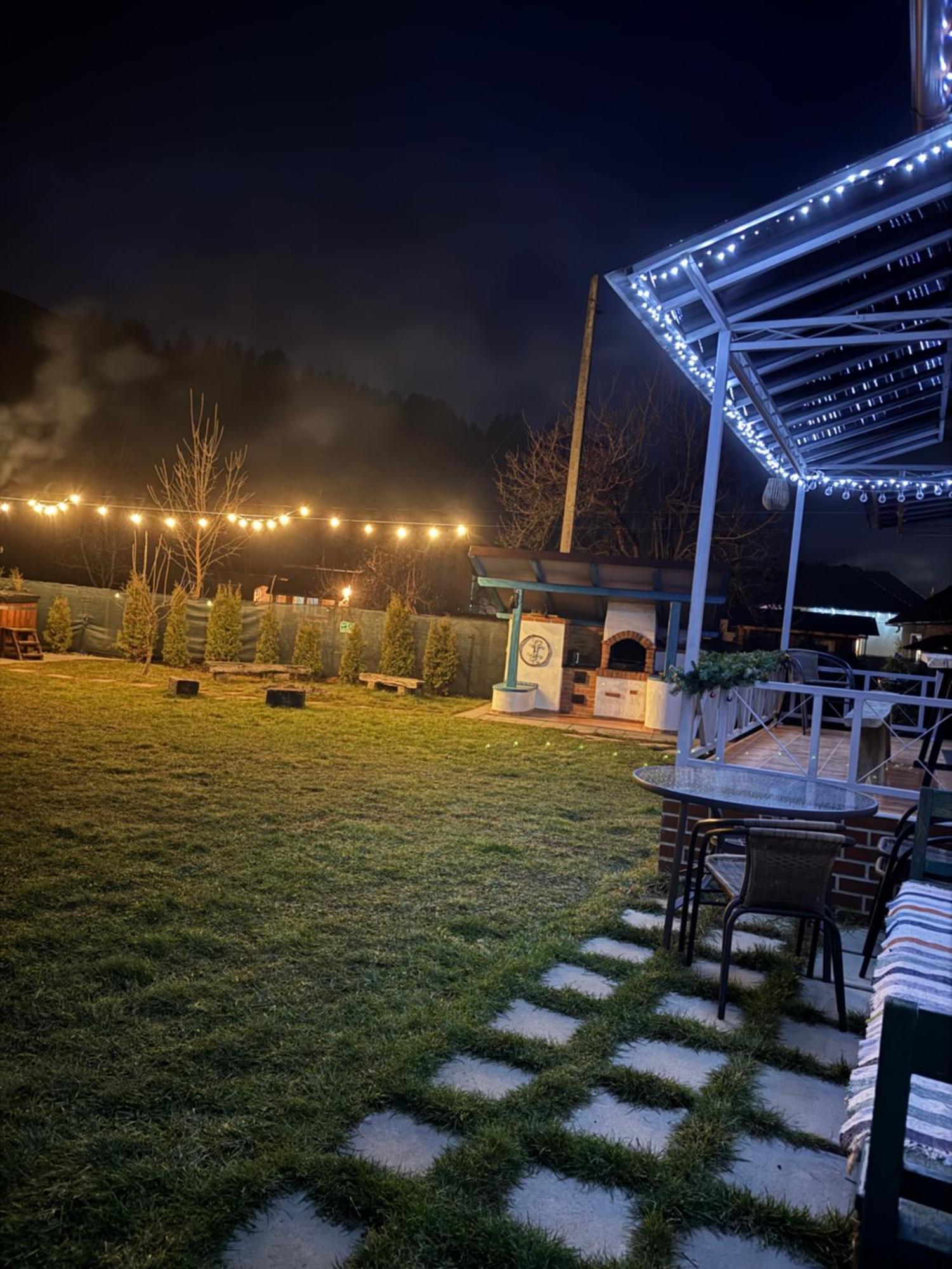 Chalet Bora Viseu de Jos Extérieur photo