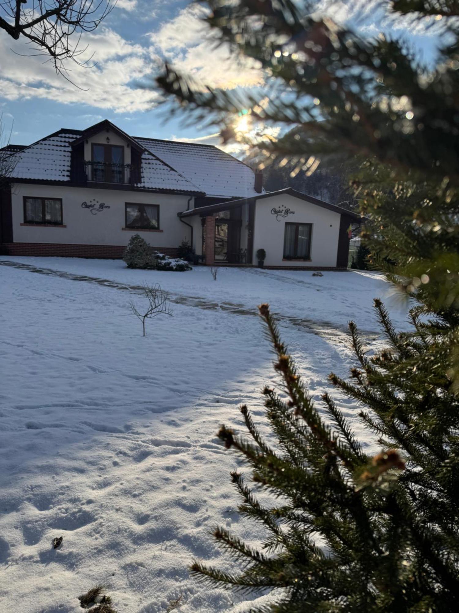 Chalet Bora Viseu de Jos Extérieur photo