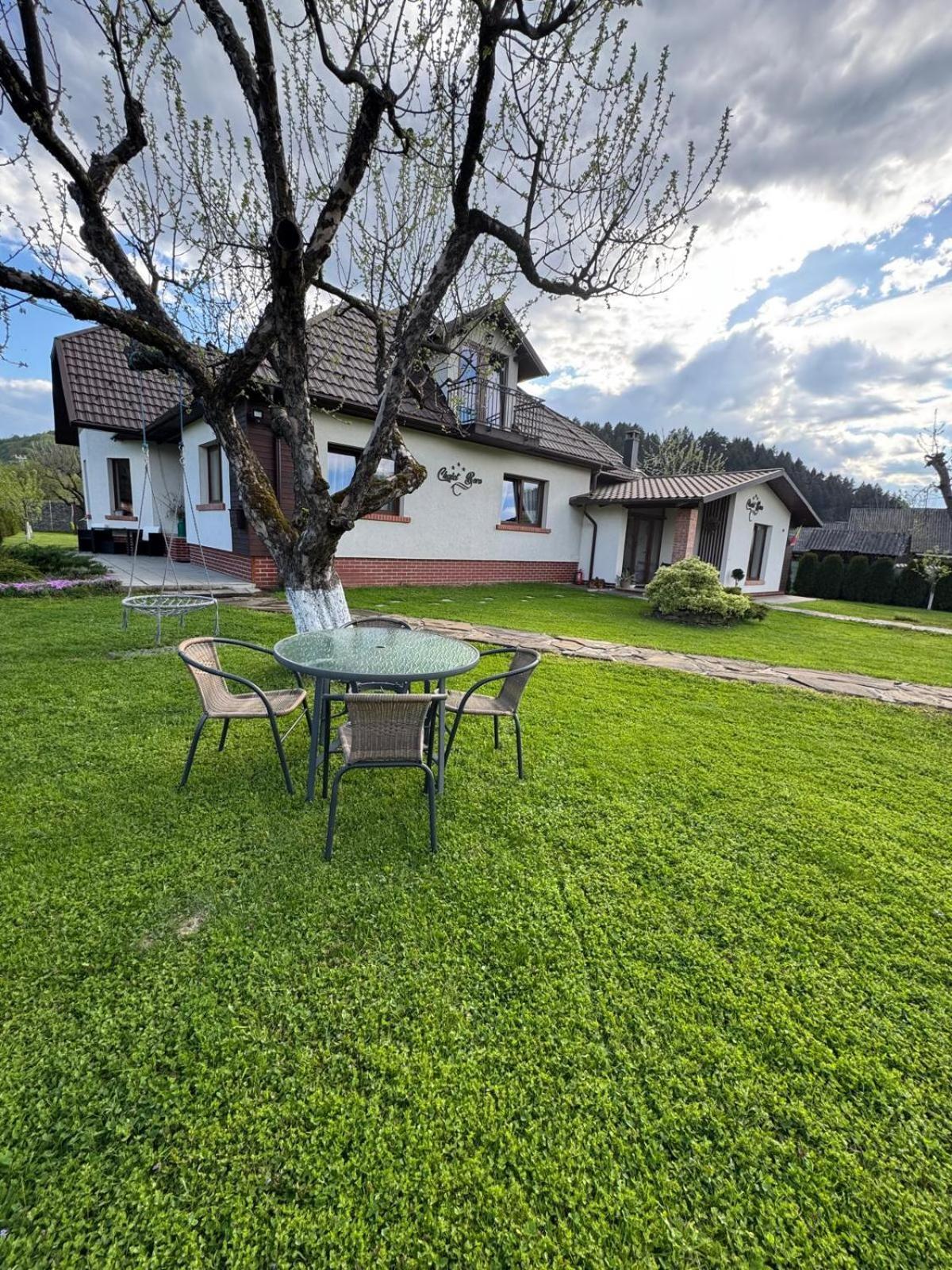 Chalet Bora Viseu de Jos Extérieur photo