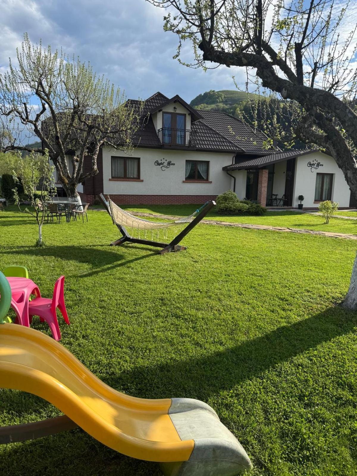 Chalet Bora Viseu de Jos Extérieur photo