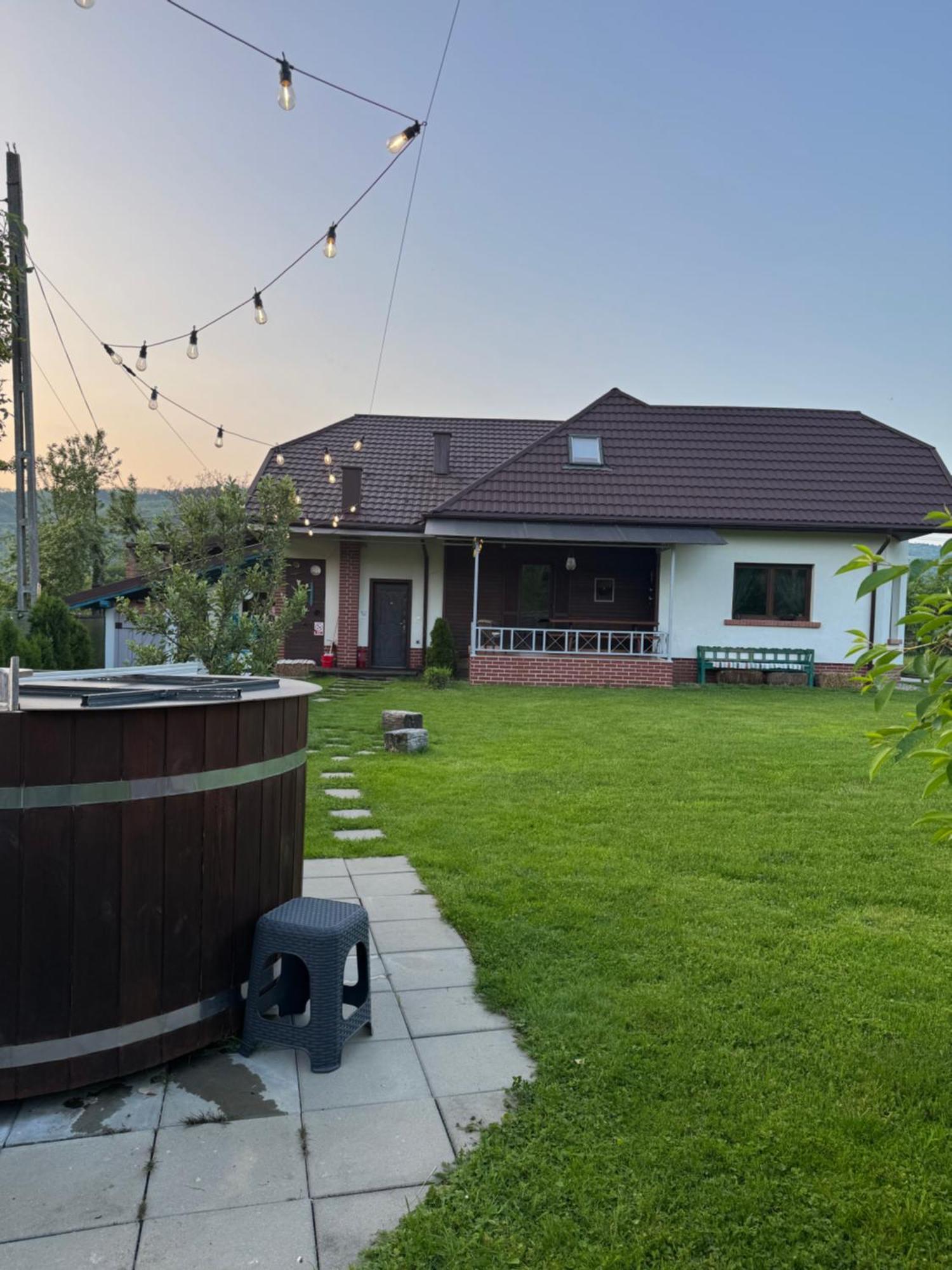 Chalet Bora Viseu de Jos Extérieur photo